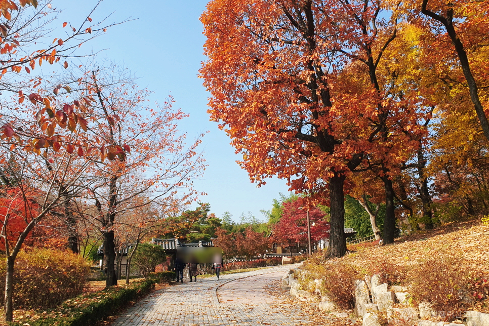 가을 국내 여행 북서울 꿈의숲 단풍 국내 여행지 추천 걷기좋은길