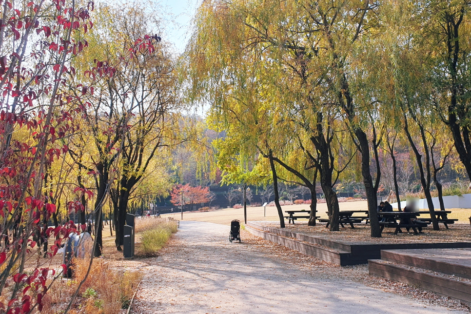 가을 국내 여행 북서울 꿈의숲 단풍 국내 여행지 추천 걷기좋은길