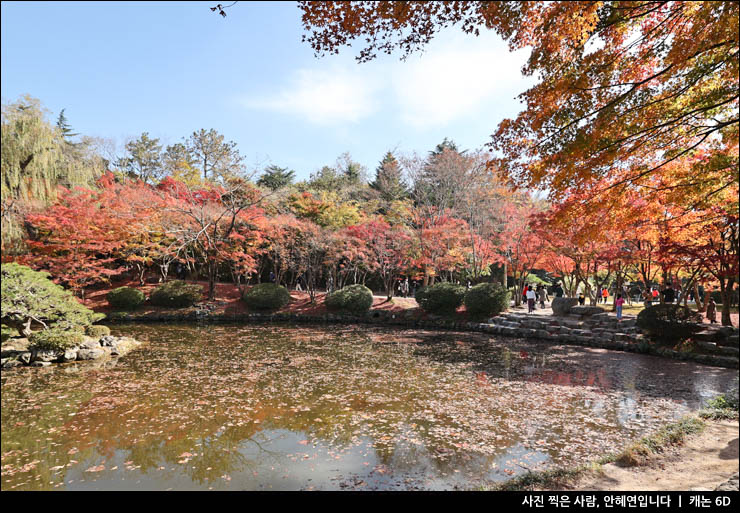 경주 가볼만한곳 가을 단풍 여행 명소 구경 경주 불국사 경주 카페 추천