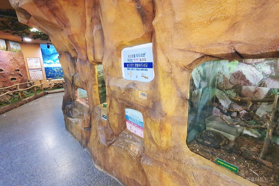 서울 주말 나들이 어린이대공원 동물원 서울 공원 추천