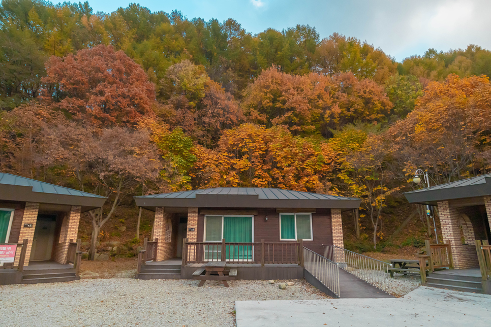 전라북도 가볼만한곳 장수군 와룡자연휴양림 치유의숲, 방화동캠핑장 전북여행지 추천!