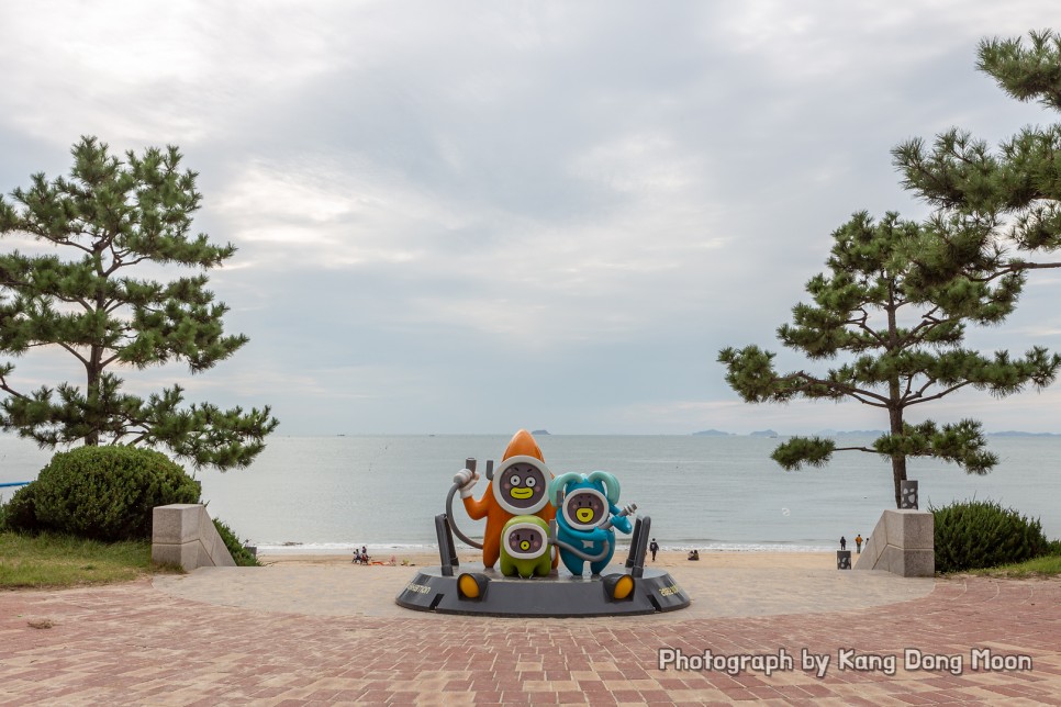 대전 근교 가볼만한곳 바다 서해안 서해 가볼만한곳 대천 여행 대천해수욕장