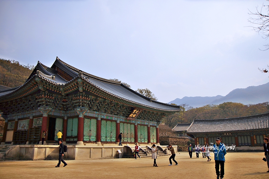 순천 가볼만한곳 낙안읍성 드라마세트촬영장 순천만습지