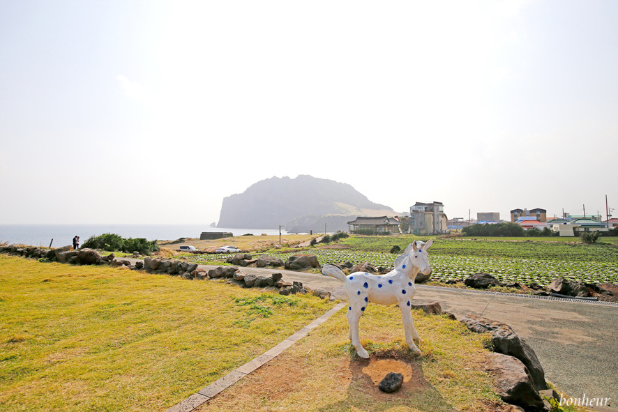 제주 동쪽 가볼만한곳 성산 오르다 카페