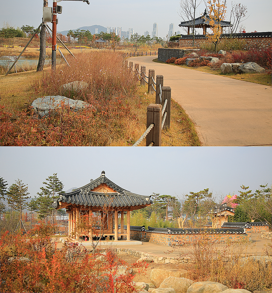 가을 가볼만한곳 세종 데이트 주말 나들이 국립세종수목원