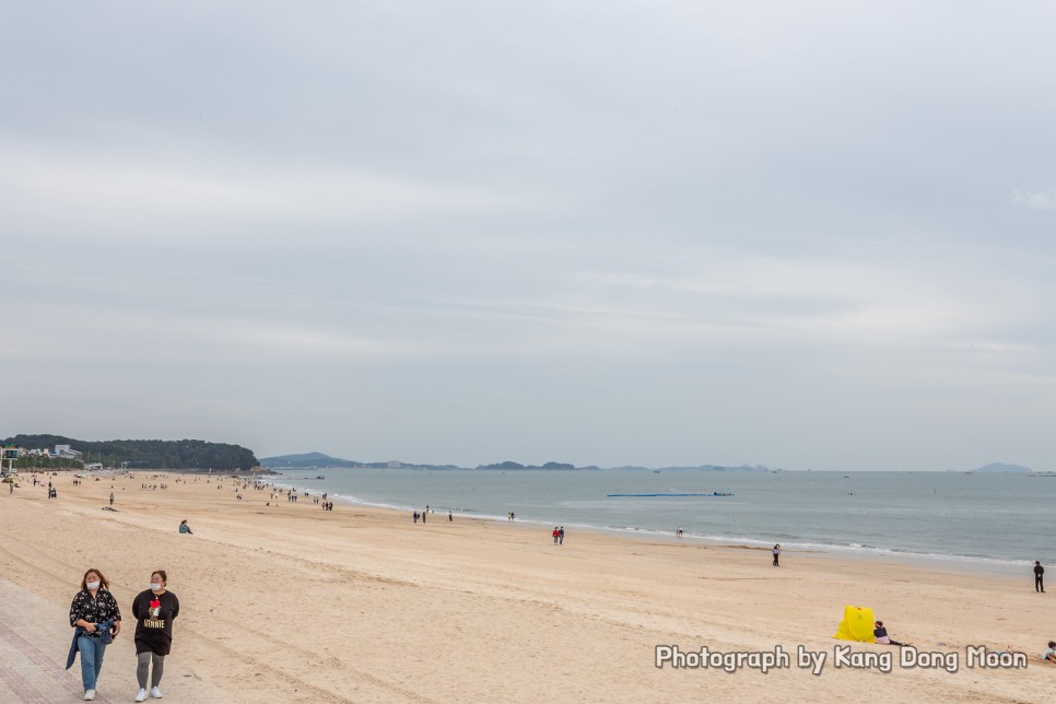 대전 근교 가볼만한곳 바다 서해안 서해 가볼만한곳 대천 여행 대천해수욕장