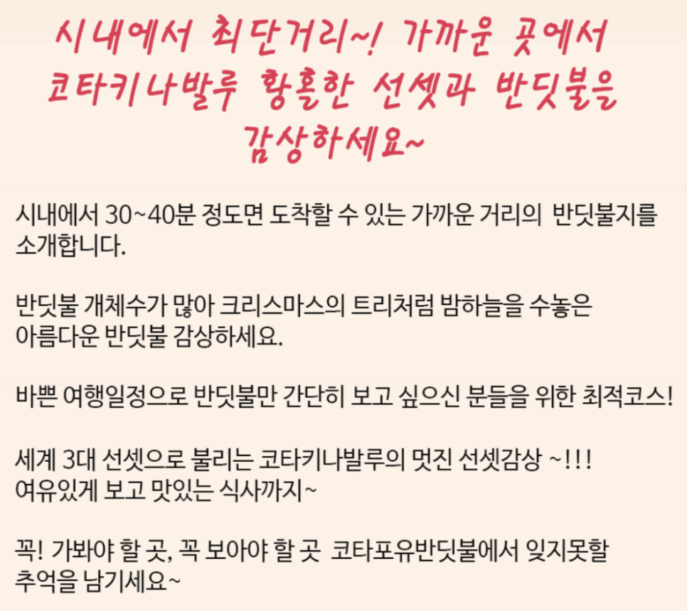 코타키나발루 자유여행 남들과는 다른 반딧불 투어! 코타포유