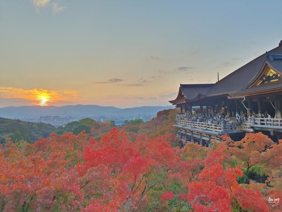 3박4일 해외여행 일본 자유여행 가볼만한곳 추천 교토 오사카