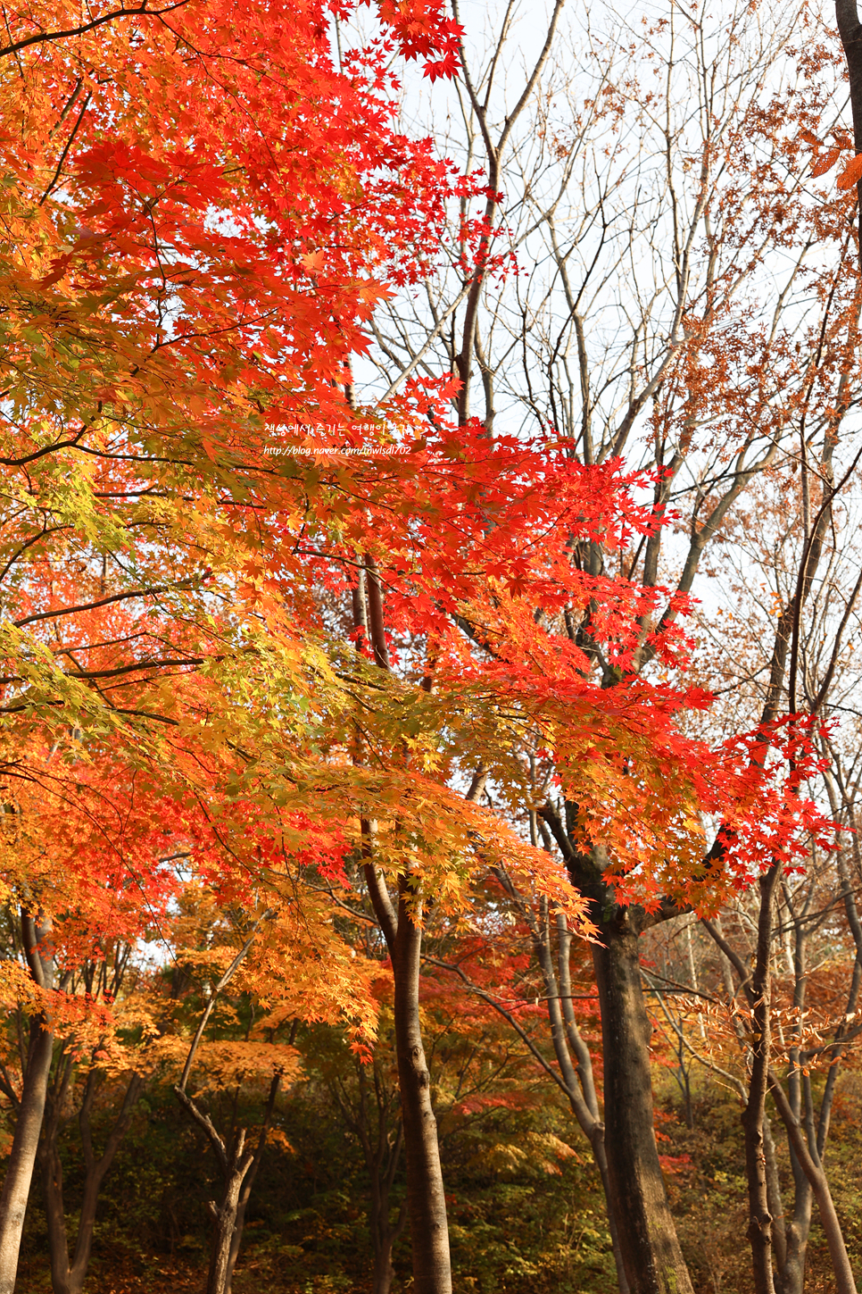 서울 공원 추천 용마산 용마폭포공원 풍경,주차장