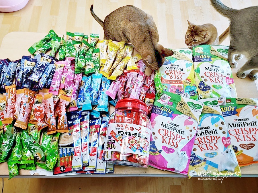 일본 쇼핑리스트 고양이 집사는 당연 후쿠오카 돈키호테!!