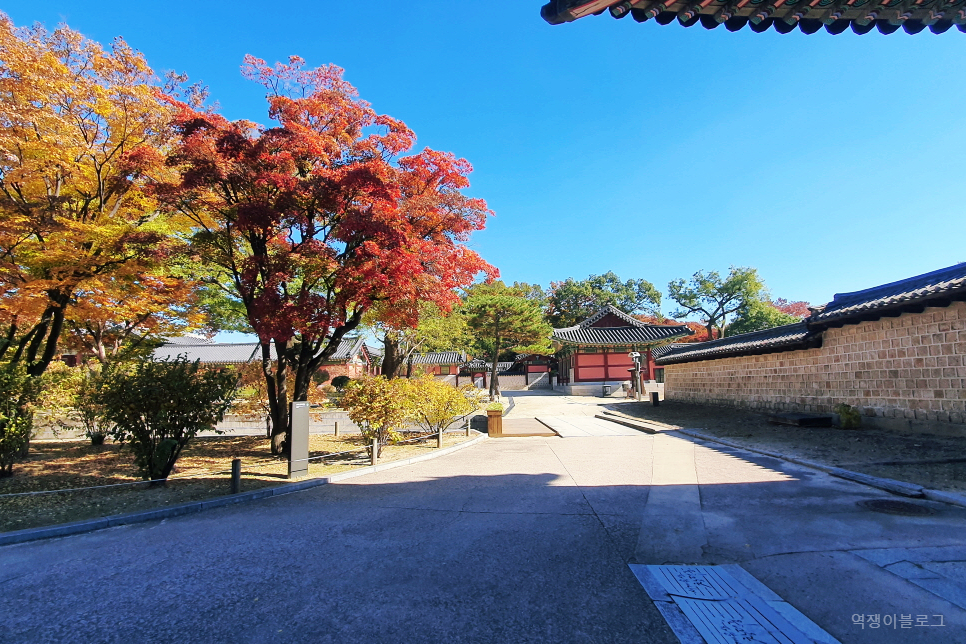 서울 가볼만한곳 가을에 창덕궁 단풍 11월 여행지 사진찍기 좋은곳