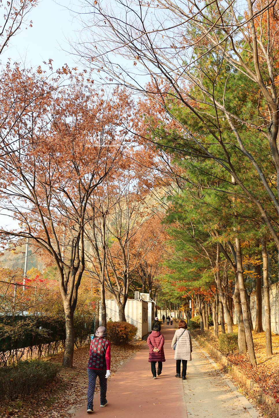 서울 공원 추천 용마산 용마폭포공원 풍경,주차장