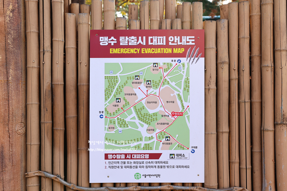 서울 아이와 가볼만한곳 서울어린이대공원 동물원,놀이기구,주차
