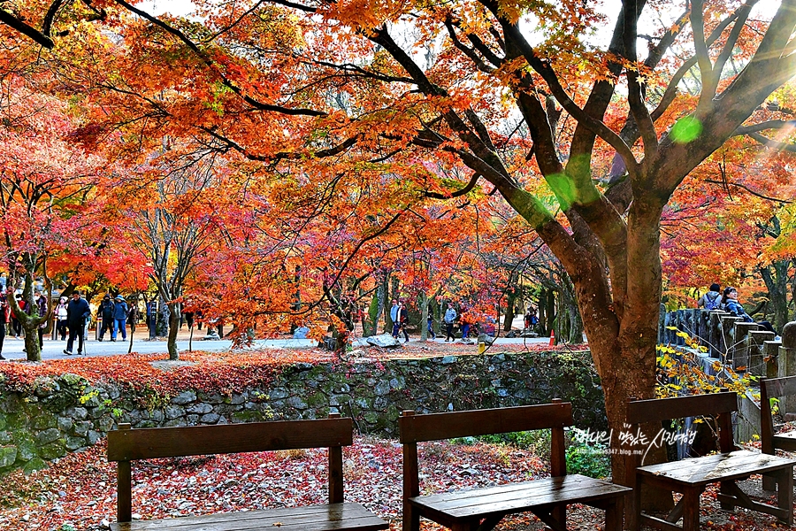 정읍 가볼만한곳 정읍 쌍화차거리 정읍사문화공원 내장산국립공원