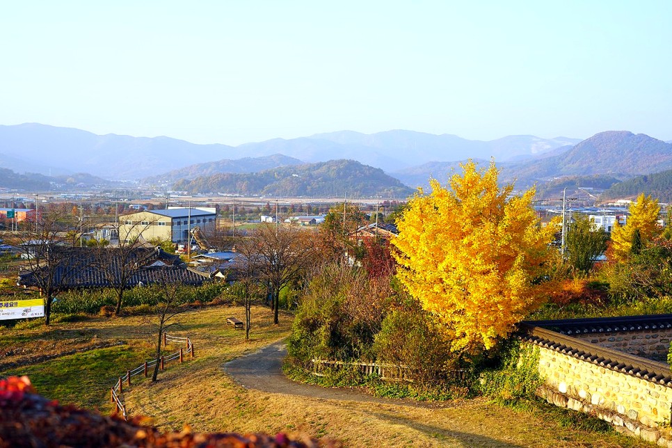 경북 가볼만한곳 청도 여행 코스 군파크루지, 청도읍성, 운문사 등