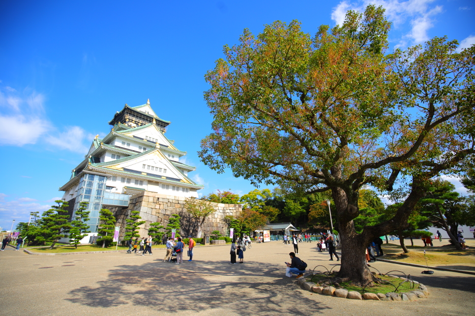 일본 여행 visit japan web 포켓 와이파이 도시락 준비물 리스트