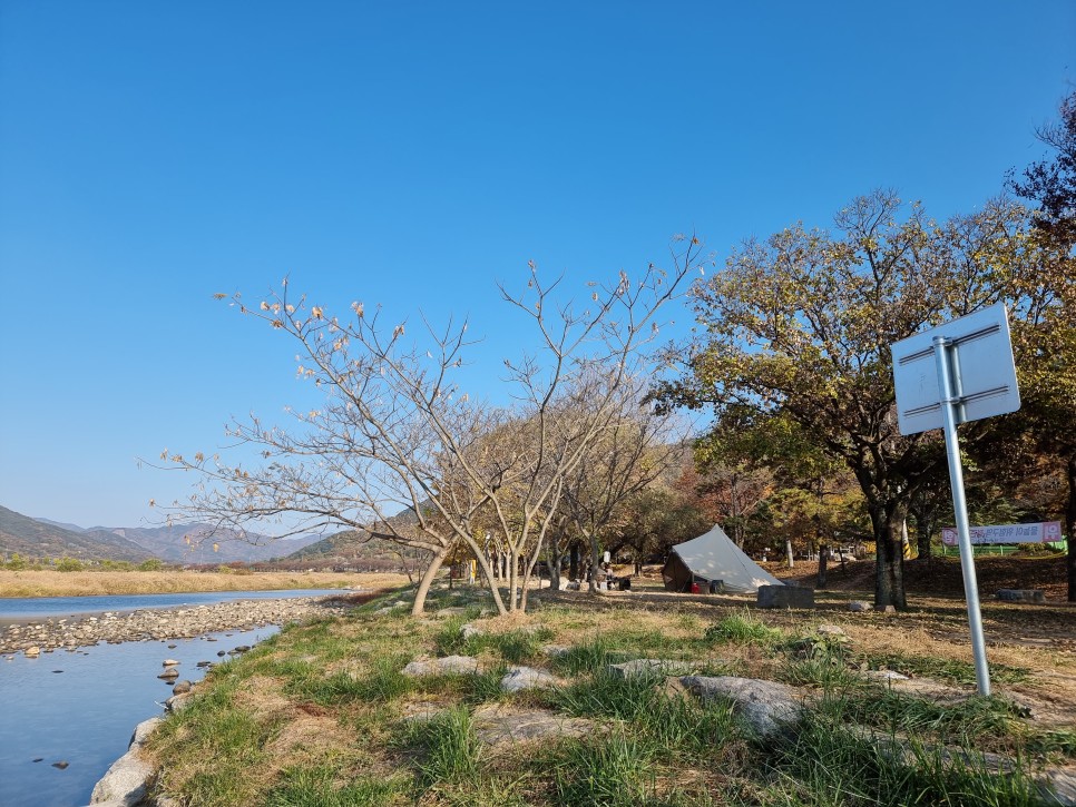 제주도 비자림 제주 동쪽 가볼만한곳 평대리 한적한 여행지