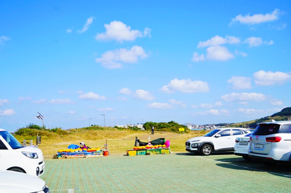 제주 성산 가볼만한곳 동부권 관광지 제주도 동쪽 코스 여행