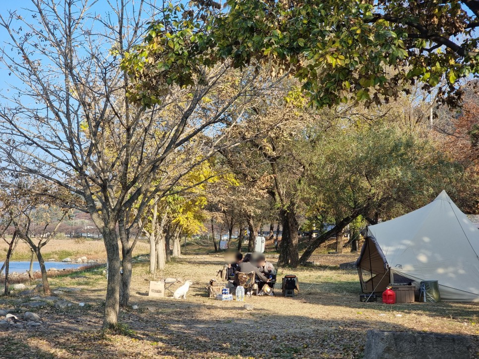 전북 무료 차박 캠핑장 남원 고소바위공원 숲 캠핑 추천