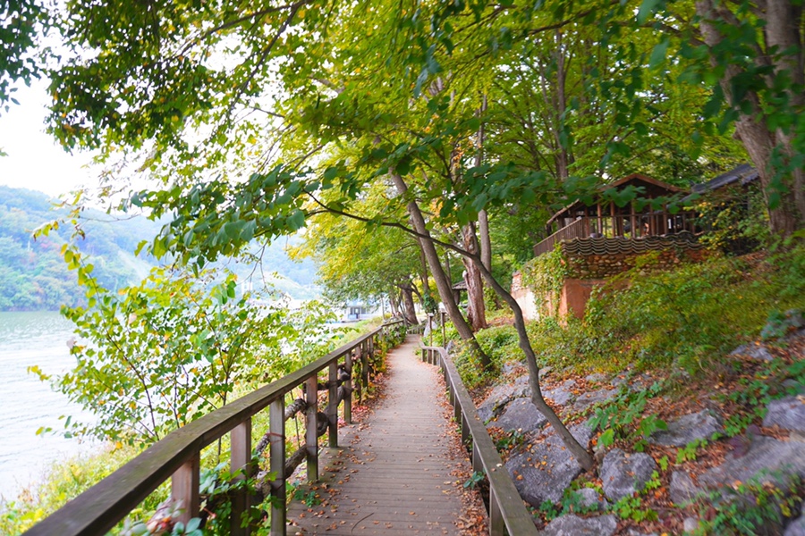 서울근교 당일치기 여행 춘천 가평 남이섬 배시간표 입장권 할인