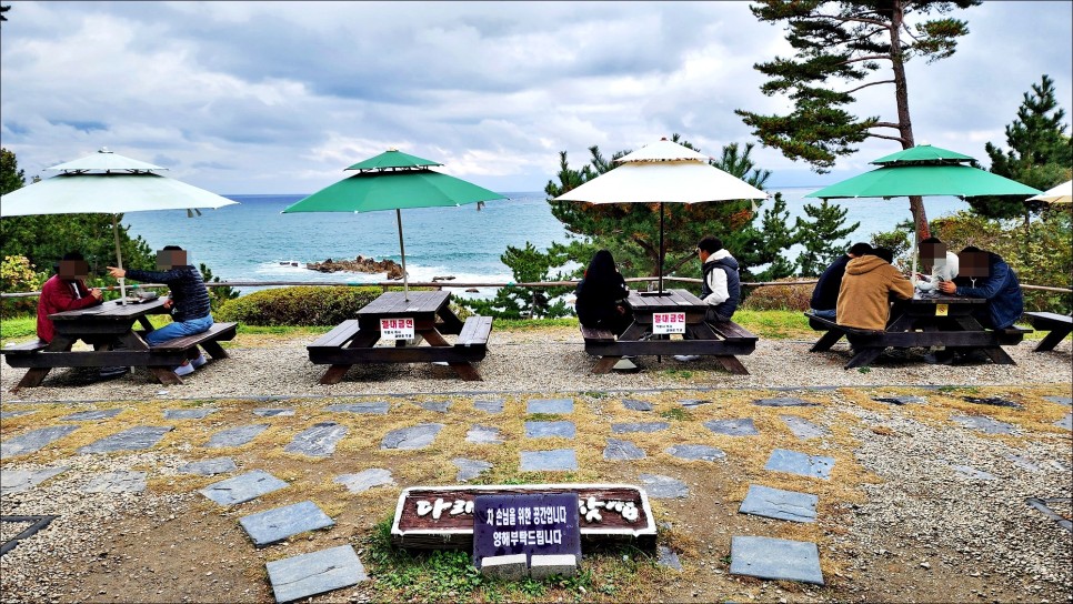 강원도 양양 갈만한곳 볼거리 가득한 낙산사 양양여행!