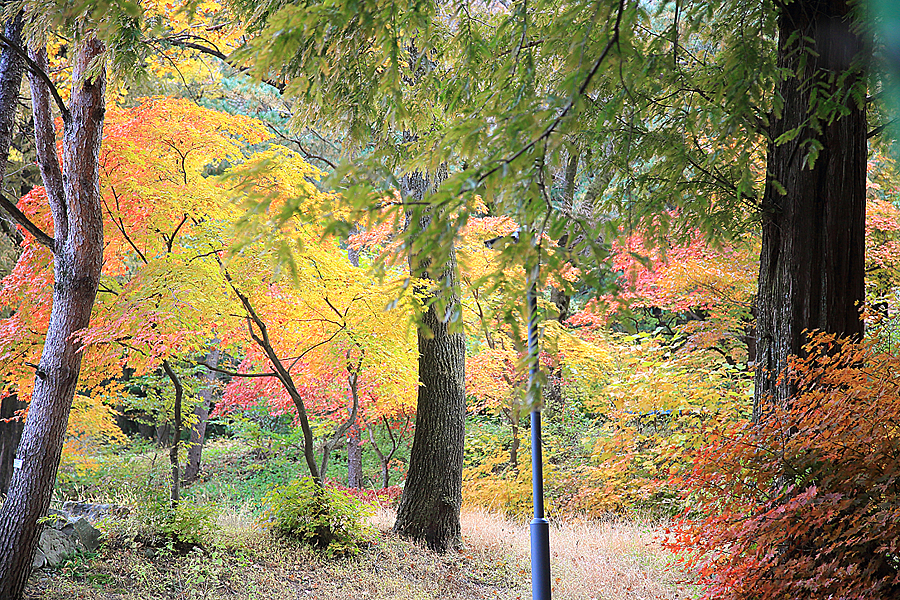 가을나들이 남한산성 도립공원 둘레길 등산코스 서문전망대 일몰명소