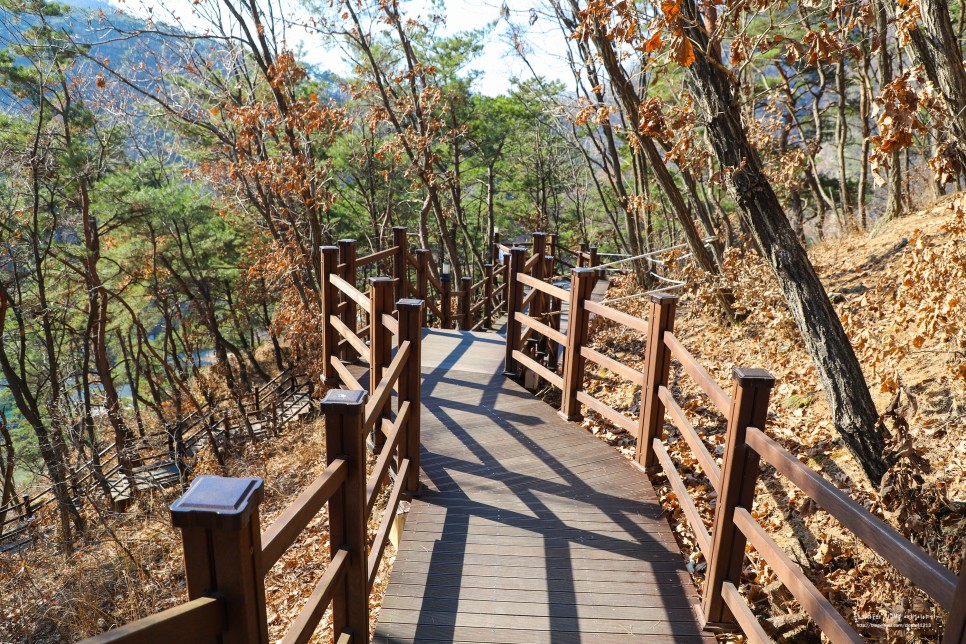 원주 소금산 출렁다리 울렁다리 그랜드밸리 간현관광지 사이코지만괜찮아 촬영지