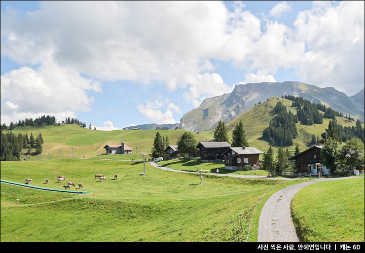 스위스 자유여행 리기산 가는법 케이블카 산악열차 루체른 유람선 스위스트래블패스 소지자 무료