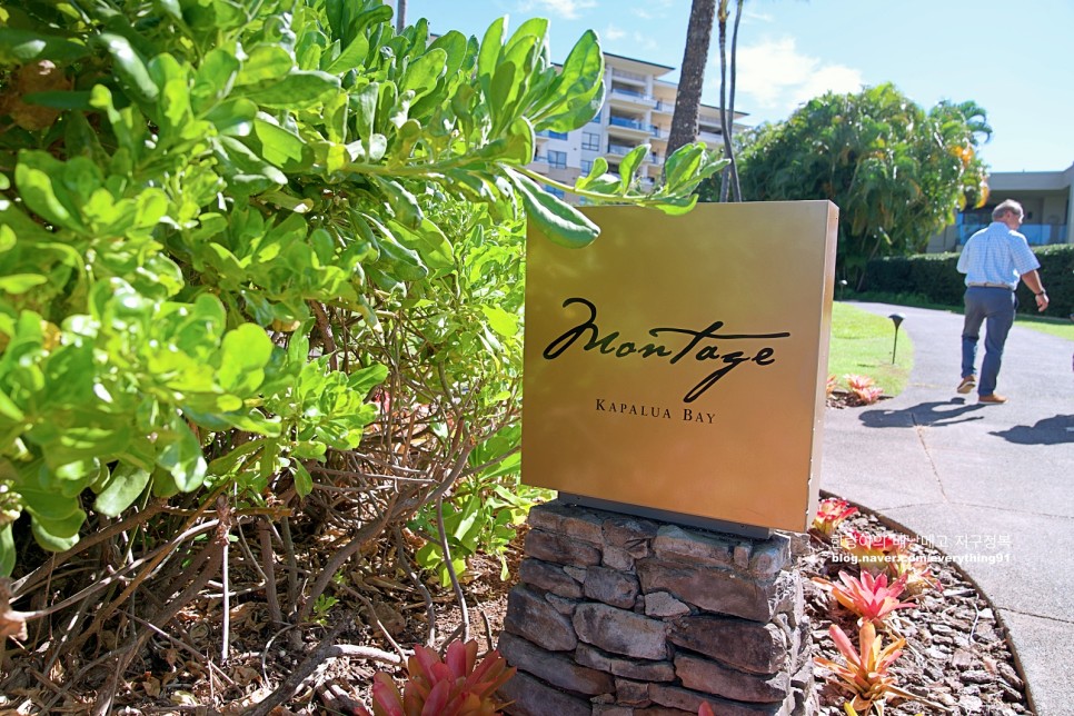 하와이 마우이 호텔 신혼여행 숙소 럭셔리 몽타주(몬타지) 카팔루아 베이