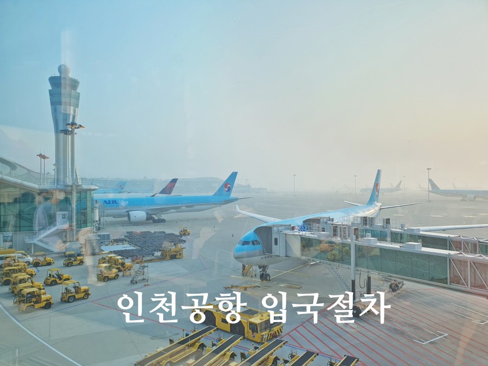 한국 인천공항 입국절차 Q코드 큐코드 모바일 여행자 세관신고
