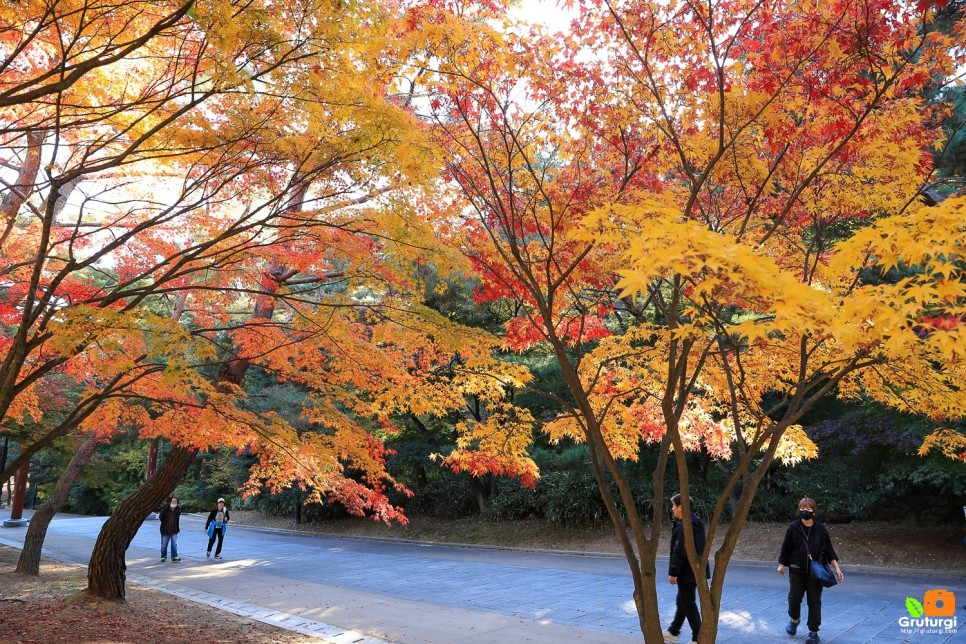 당일여행 아산 현충사 놀거리 구경 단풍 여행