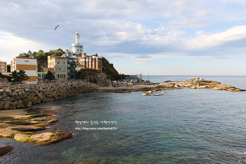 동해안 가볼만한곳 속초 영금정 당일치기