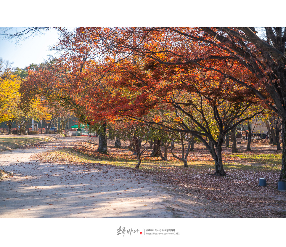 경주 여행지 동궁과 월지 (안압지) 경주 산책