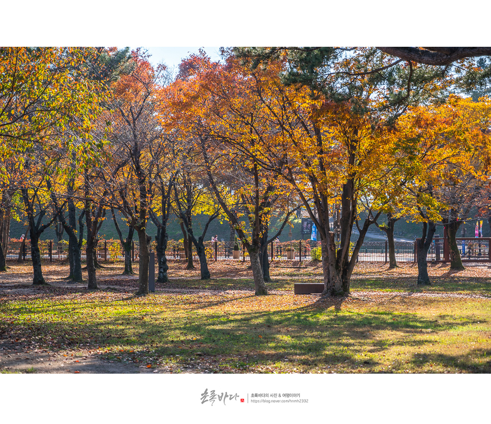 경주 여행지 동궁과 월지 (안압지) 경주 산책