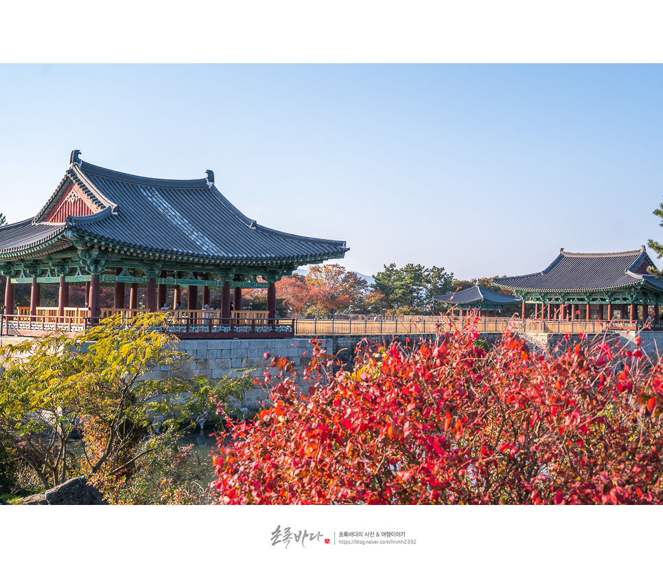 경주 여행지 동궁과 월지 (안압지) 경주 산책