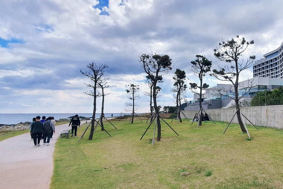 김포공항 주차 예약 하고 김포공항 주차대행 실내 주차 가능