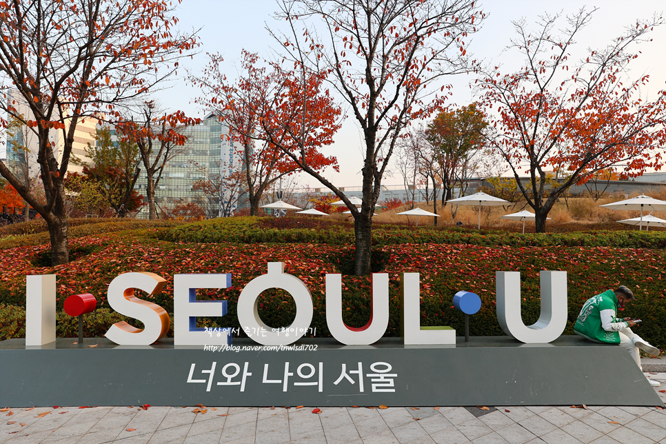 서울 실내데이트 추천 동대문디자인플라자 DDP 볼거리 풍경