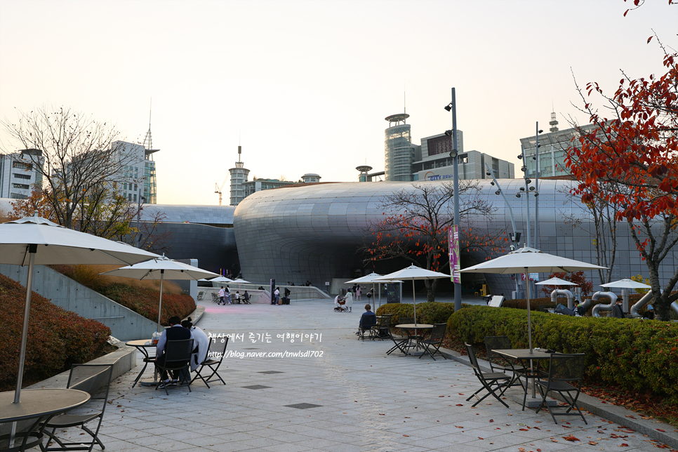 서울 실내데이트 추천 동대문디자인플라자 DDP 볼거리 풍경