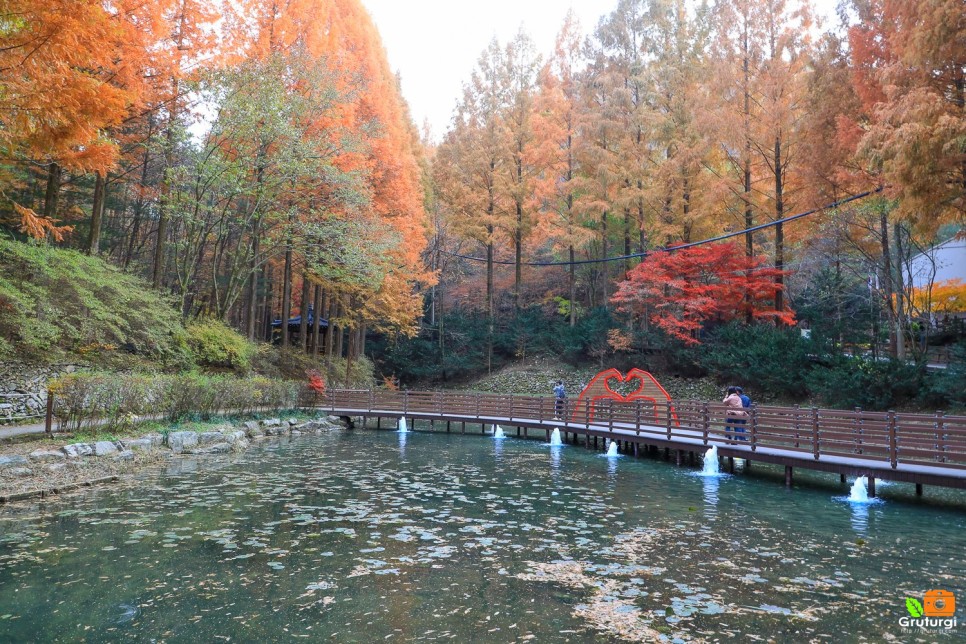대전 명소 볼거리 장태산자연휴양림 수목원 산책로 당일치기
