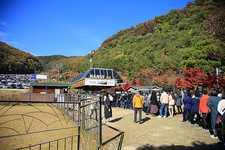 경기도 광주 가볼만한곳 곤지암 화담숲 예약 모노레일 단풍명소