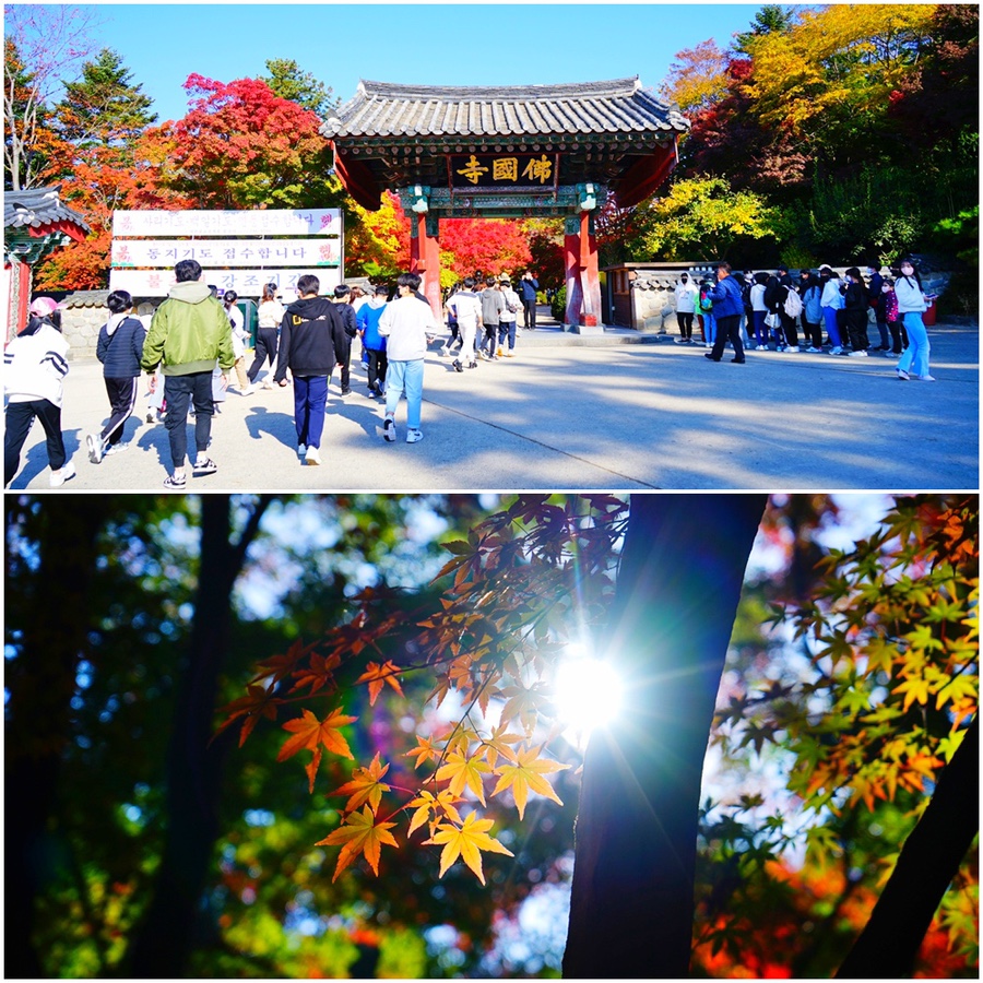 경북 여행 경주 포항 가볼만한곳 17곳 포항경주공항 후기