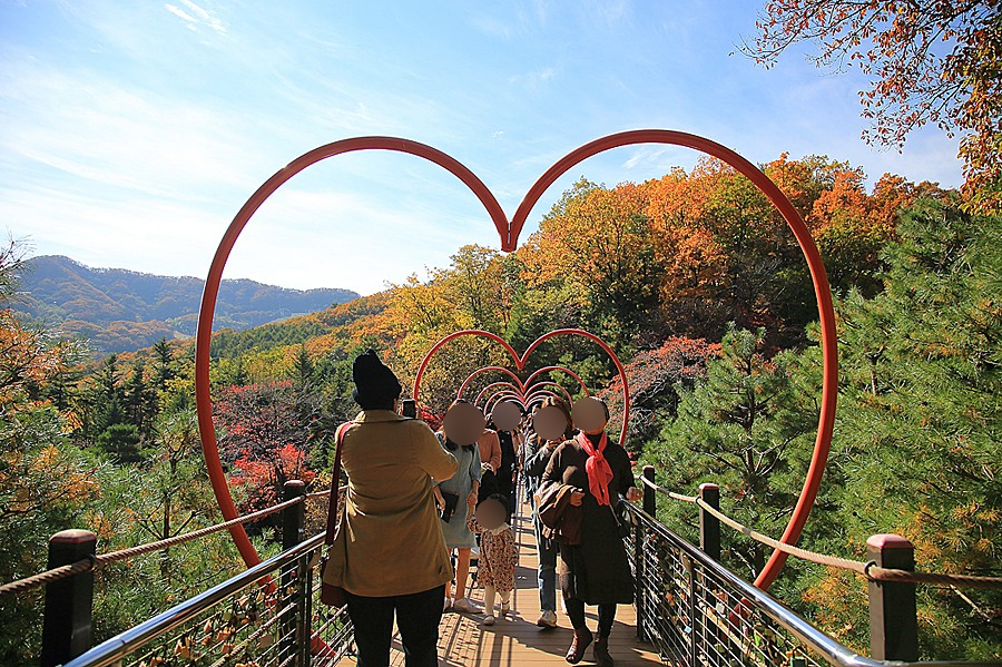 경기도 광주 가볼만한곳 곤지암 화담숲 예약 모노레일 단풍명소