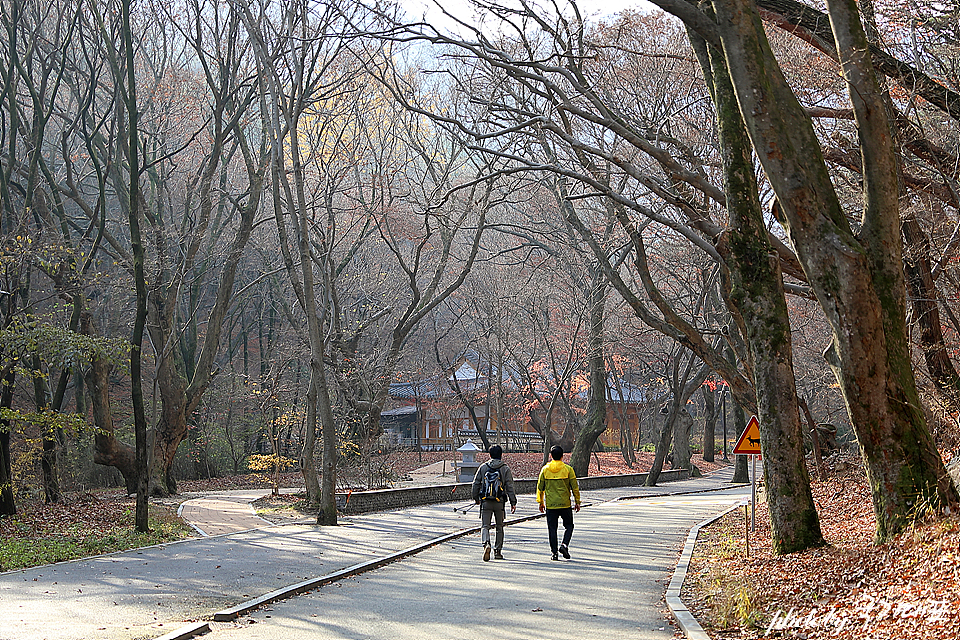 충남 공주 가볼만한곳 동학사 계곡 계룡산 사찰 여행