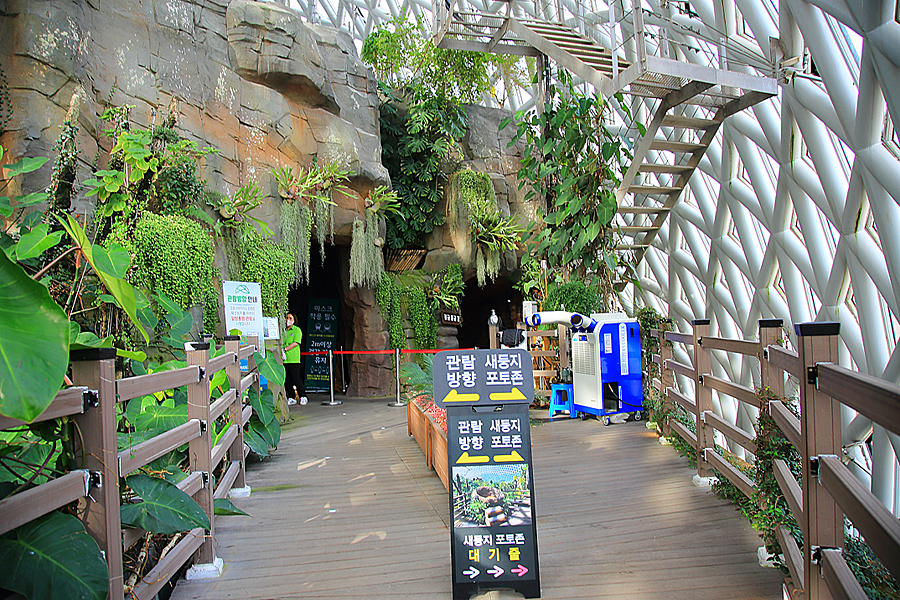 거제도 여행 코스 거제 정글돔 식물원 볼거리 놀거리 수목원 실내식물원