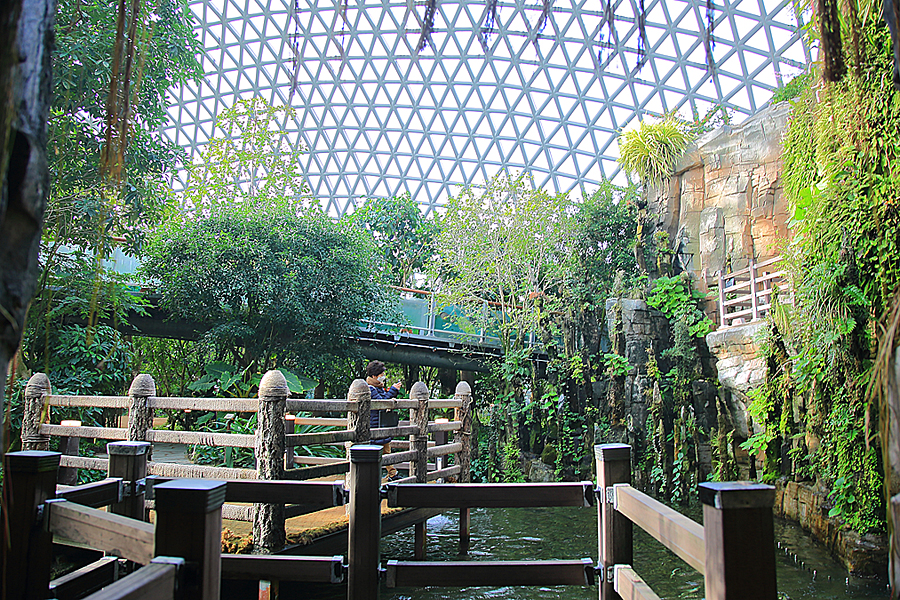 거제도 여행 코스 거제 정글돔 식물원 볼거리 놀거리 수목원 실내식물원