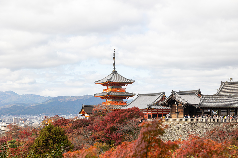 일본여행 단풍 구경 교토여행 기요미즈데라 청수사 입장료 포토존
