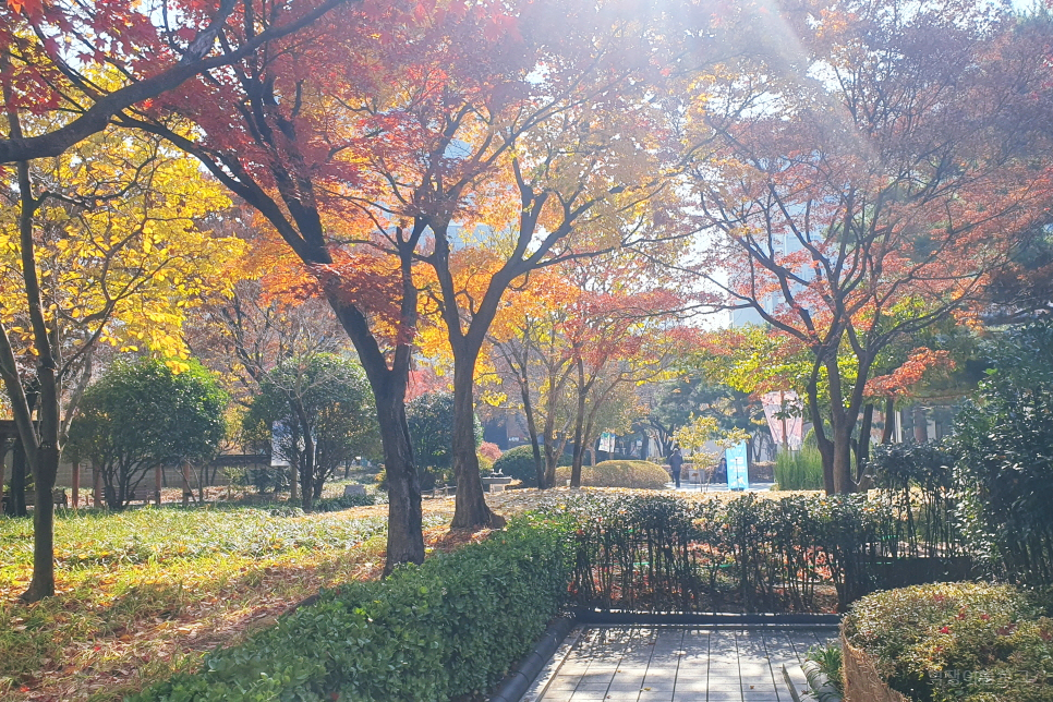 대구 시내 관광 대구 갈만한곳 볼거리 많은 경상감영공원 나들이