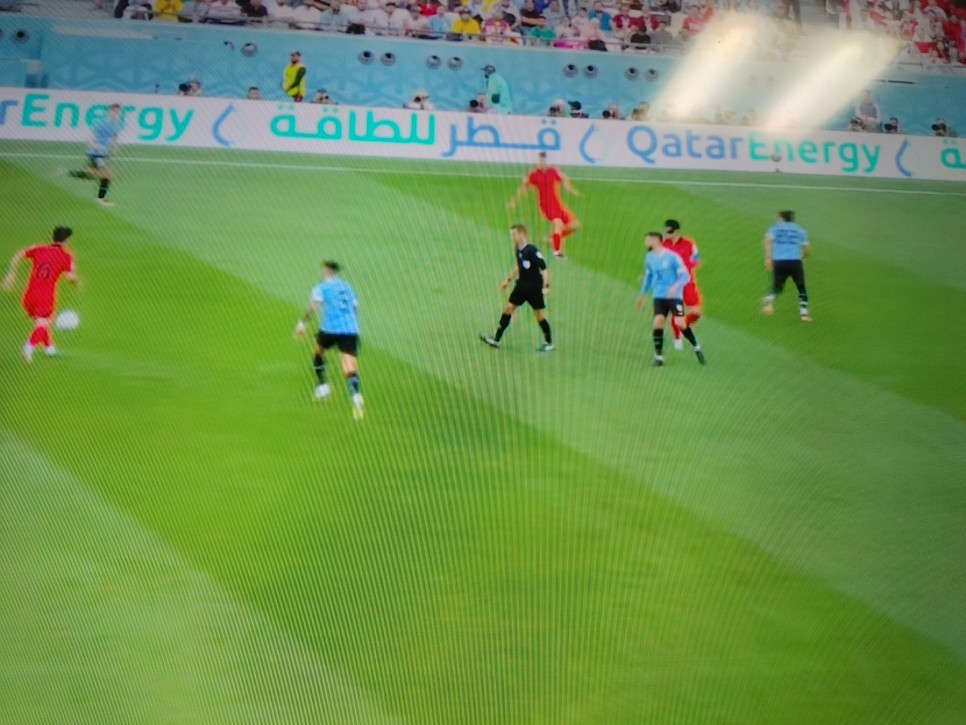 주간 일기 챌린지 23주 차 - 카타르 월드컵 응원 소리 실화야?