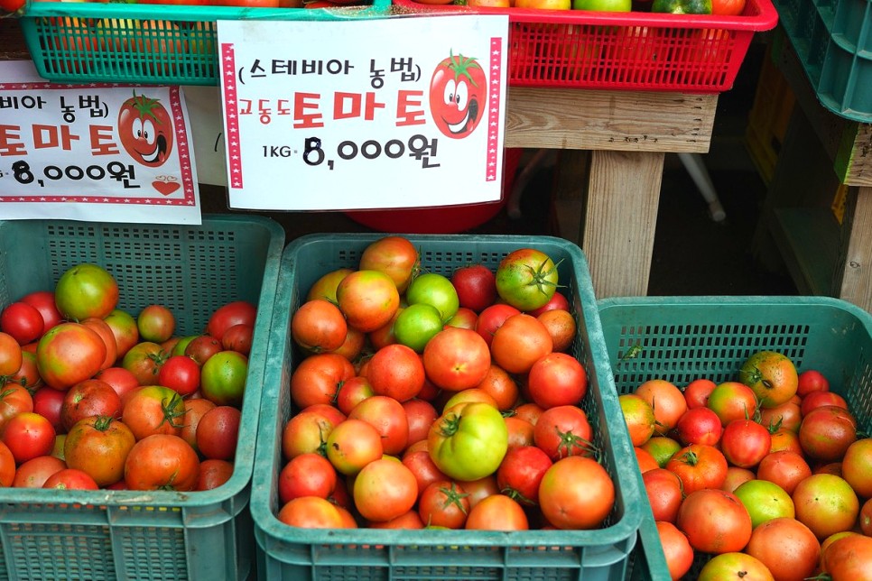 서울근교 갈만한곳 인천 당일치기 여행 교동도 대룡시장