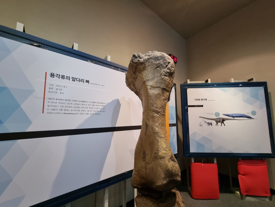 경남 아이와 가볼만한곳 고성 공룡박물관 여행
